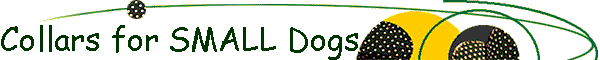 Collars for SMALL Dogs